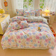多蘭詩(shī)（Duolanshi）春秋加厚磨毛四件套 ins四件套花卉田園風(fēng)格床單被套四件套 薔薇花 2.0米 床單款 被套200*230 四件套