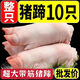 【順豐】10只生豬蹄豬腳豬爪豬蹄小肥蹄散養(yǎng)土豬肉冷凍豬蹄鹵豬蹄 帶筋土豬蹄10只【冷鏈速發(fā)】