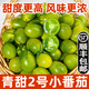 正宗青口蜜小番茄5斤圣女果綠色青甜2號新鮮水果千禧小柿子順豐L 5斤 【順豐現摘】