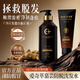 IQCUI愛奇萃【愛奇萃洗發(fā)水】 防脫固發(fā)洗發(fā)水 側(cè)柏葉防脫育發(fā)控油洗發(fā)乳 【洗護套裝】洗發(fā)水*1+護發(fā)素*1