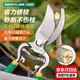 百威獅（BERRYLION）園林園藝剪刀大蒜圓蔥家用剪刀果樹(shù)枝條花藝剪子花剪摘果神器930 