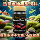 羅師傅孔雀魚食紅綠燈魚飼料蝦糧斗魚小型魚小粒魚糧幼魚開口飼料魚糧 孔雀魚燈魚專用糧 1瓶（75g/瓶）