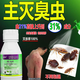 億之康.追風(fēng)臭蟲藥床上吸血蟲專用藥宿舍除床虱臭蟲殺蟲劑噴霧特效家用凈克星 專殺宿舍臭蟲床虱（只有藥水）
