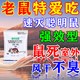 優(yōu)迪王老鼠藥耗子藥特效膽鈣化醇顆粒家用驅滅鼠捕鼠環(huán)保低毒誘餌一鍋端 100g【家庭滅鼠】