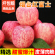 山澗田源山東煙臺紅富士蘋果棲霞冰糖心脆甜蘋果健康輕食應(yīng)季孕婦新鮮水果 凈重4.5斤80-85mm【大個頭】