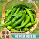 南步湖南樟樹港辣椒【順豐包郵】正宗特產(chǎn)青椒小辣椒現(xiàn)摘新鮮蔬菜整箱 1斤 【嘗鮮裝】