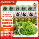 雋品灣高品質(zhì)酸甜裙帶菜絲72g*10袋小袋香辣海帶開袋即食群帶咸菜海白菜 【到手10袋】香辣絲5+香辣梗5包