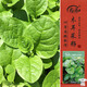 壽禾 木耳菜種子種苗春季種大葉盆栽爬藤蔬菜籽 大圓葉木耳菜種子15g