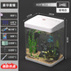 最萌魚(yú)缸新款家用小型觀(guān)賞魚(yú)魚(yú)缸三合一節能水泵過(guò)濾制氧一體機烏龜缸 24X17X28（帶蓋豪華套餐）