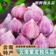 南步云南紫皮獨(dú)頭蒜 大理紫蒜新蒜頭大蒜頭紅皮獨(dú)蒜新鮮現(xiàn)挖濕蒜蔬菜 5斤 大果【單顆3-3.5cm】