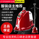 立挺 （LT STEAMER） LT-9蒸汽大功率燙衣服裝店商用婚紗攝影棚立式掛燙機家用防干燒過熱保護蒸汽熨燙 紅珍珠銅接口