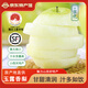 隰縣玉露香梨山西臨汾隰縣小西天特產(chǎn)隰縣玉露香梨新鮮水果酥梨香梨禮盒 9粒裝【75mm-80mm】（約4.5斤）