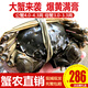 【活蟹】陽(yáng)澄小斌大閘蟹 鮮活特大螃蟹公蟹母蟹 海鮮水產(chǎn)生鮮禮盒 公4.0-4.3兩母3.0-3.3兩 4對8只
