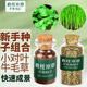瘋狂水草魚(yú)缸水草種子水培植物直接入魚(yú)缸造景水草籽種子速成小對(duì)葉牛毛草