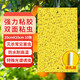 BATUREL粘蟲(chóng)板黃板雙面小飛蟲(chóng)誘捕神器誘蟲(chóng)板滅蒼蠅貼紙果蠅滅蚊蟲(chóng)10張