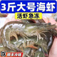 【順豐快遞】蝦 青島大蝦白蝦鮮活新鮮特大海鮮水產(chǎn)蝦子蝦米冷凍 18-19厘米  2.8- 3斤(凈重)  帶箱4斤【高品質(zhì)】