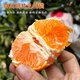 金百粟 【順豐】正宗蒲江明日見(jiàn)柑橘甘平柑橘皇后阿斯蜜四川新鮮水果 【明日見(jiàn)柑橘】?jì)糁?斤 中果13-16枚【皮薄肉厚】