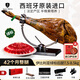 JAMON BELLOTA伊比利亞綠標(biāo)火腿西班牙進(jìn)口橡果整腿禮盒中秋送禮品7kg源頭直發(fā)