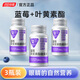 湯臣倍健Yep藍(lán)莓葉黃素酯咀嚼片兒童青少年中老年 湯臣倍健藍(lán)莓葉黃素60片 3瓶