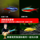 云峰海瑞 熱帶魚(yú) 觀(guān)賞魚(yú)燈科魚(yú) 觀(guān)賞魚(yú)小型淡水魚(yú)草缸群游 熱帶魚(yú)活體 招cai財進(jìn)寶套餐共23條