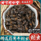 北京同仁堂牛虻蟲(chóng)中藥材100克虻蟲(chóng)粉氓牤精選野生蚊子牛蠅綠頭猛 大虻蟲(chóng)100克(正品完整）