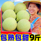 黃六爺正宗海南網(wǎng)紋蜜瓜10斤新玫瓏蜜瓜疆冰淇淋網(wǎng)紋靜岡哈密瓜新鮮一箱 精品瓜 | 商超品質(zhì) 【整箱9-10斤】4-6個裝 不甜包賠