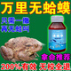 滅青蛙藥癩蛤蟆克星池塘河邊庭院蟾蜍蝌蚪全窩端專用藥驅牛蛙神器 一瓶裝【100ml 當晚無蛙聲】
