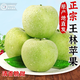 【順豐】正宗王林蘋果煙臺(tái)雀斑麻臉美人翡翠王林青蘋果新鮮水果 3斤 特大果85-90mm【體驗(yàn)】