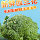 當季西蘭花新鮮現摘現發(fā)西蘭花蔬菜農家應季時(shí)令菜鮮嫩精選 3斤