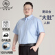 阿悠胖大碼夏季短袖純棉襯衫商務(wù)休閑正裝DP免燙抗皺襯衣加肥加大號(hào)工裝