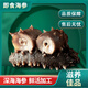 大連遼參 鮮食海參 3斤裝 10-15只 高端滋補(bǔ)海參 10-15 只 1斤