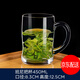 鋼化耐熱玻璃杯把手家用防燙帶手柄防摔玻璃杯樂(lè)艾瑾辦公加厚微波爐加熱透明水杯泡茶杯大容量泡茶杯子套裝 班尼把杯450ml【2個(gè)裝】