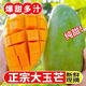 爆甜青玉芒10斤裝芒果當季新鮮現(xiàn)摘水果特大甜心玉芒整箱批發(fā)包郵 2.7-3斤(單果200-500g)