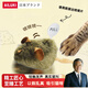 日本貓玩具發(fā)聲小老鼠毛絨仿真電動(dòng)老鼠耐抓耐咬叫叫鼠逗貓玩具自 3只老鼠(觸碰發(fā)聲) 只會(huì)叫不會(huì)跑