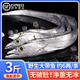 特大帶魚整條刀魚生鮮魚類帶魚小眼深海魚新鮮活冷凍整箱批發(fā)水產(chǎn) 【3斤大帶魚】無破肚 約6兩/條