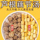 北京同仁堂蓮藕節(jié)蘆根湯茅草根新鮮專攻流鼻血無火不燥清熱煲湯成人兒童通用 藕節(jié)+蘆根+白茅根[40副]店家推