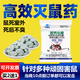 優(yōu)迪王老鼠滅鼠顆粒強力老鼠藥家用滅鼠驅捕鼠神器耗子藥一窩端 100克