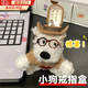 戒指盒求婚創(chuàng)意驚喜盒子帽子西高地小狗玩偶送男女友七夕告白QC 西高地小狗戒指盒【咖色】 1個(gè) 【告白送男女友禮物】