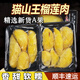 鹿凌青香甜軟糯貓山王榴蓮肉冷凍速凍新鮮果肉水果液氮凍榴蓮順豐上門 4斤