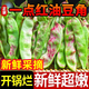 黃六爺東北油豆角10斤現摘新鮮蔬菜黑龍江一點(diǎn)紅油豆角九月青開(kāi)鍋爛整箱 5斤【新鮮超嫩】