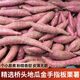 薯鮮氣正宗海南橋頭地瓜 新鮮現(xiàn)挖澄邁富硒紅薯 農(nóng)家黃心板栗薯粉糯香甜 5斤 金手指果