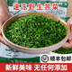 維桑速凍薺菜新鮮野菜 順豐冷鏈 冷凍切碎免洗蔬菜餛飩餃子春卷餡 400g/袋 2袋