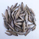蝦段蝦肉喂魚蝦小河蝦龍魚飼料白蝦金龍紅龍凍魚食凍蝦喂魚 1斤單凍麥穗魚 2斤起發(fā)