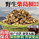秦嶺深山真野生葛根精選無硫正品中藥材葛根塊泡水泡茶解酒三高 秦嶺野生葛根塊【1000g】三高解酒喝