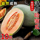 果益壽山東哈密瓜新鮮西洲蜜瓜當季水果甜冰淇淋蜜瓜整箱 4.5-5斤凈重 優(yōu)選 約2-3顆