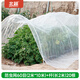 北蔬防蟲(chóng)網(wǎng)蔬菜種菜網(wǎng)罩大號菜地防護網(wǎng)棚罩塑料保溫膜防寒 防蟲(chóng)網(wǎng)60目【2米*10米】+桿20根