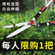 京悠雨德國精工園藝大剪刀果樹枝花園草坪修枝剪園林綠化工具綠籬剪 升級系列-標準直刃款