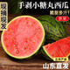京地達(dá)瓜糖丸小西瓜甜瓜當(dāng)季時(shí)令新鮮山東 凈重8斤單果2斤+源頭直發(fā)包郵