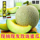 山東玫瓏網(wǎng)紋瓜10斤冰淇淋口感香甜可口當季水果蜜瓜季節(jié)甜瓜批發(fā) 玫瓏蜜瓜凈重2.5-3斤(1個裝)