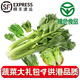 供港蔬菜大禮包【綠色食品】西芹上海青生菜等葉菜類果蔬京配買菜 8合一 惠享大禮包（約5-5.5斤）
